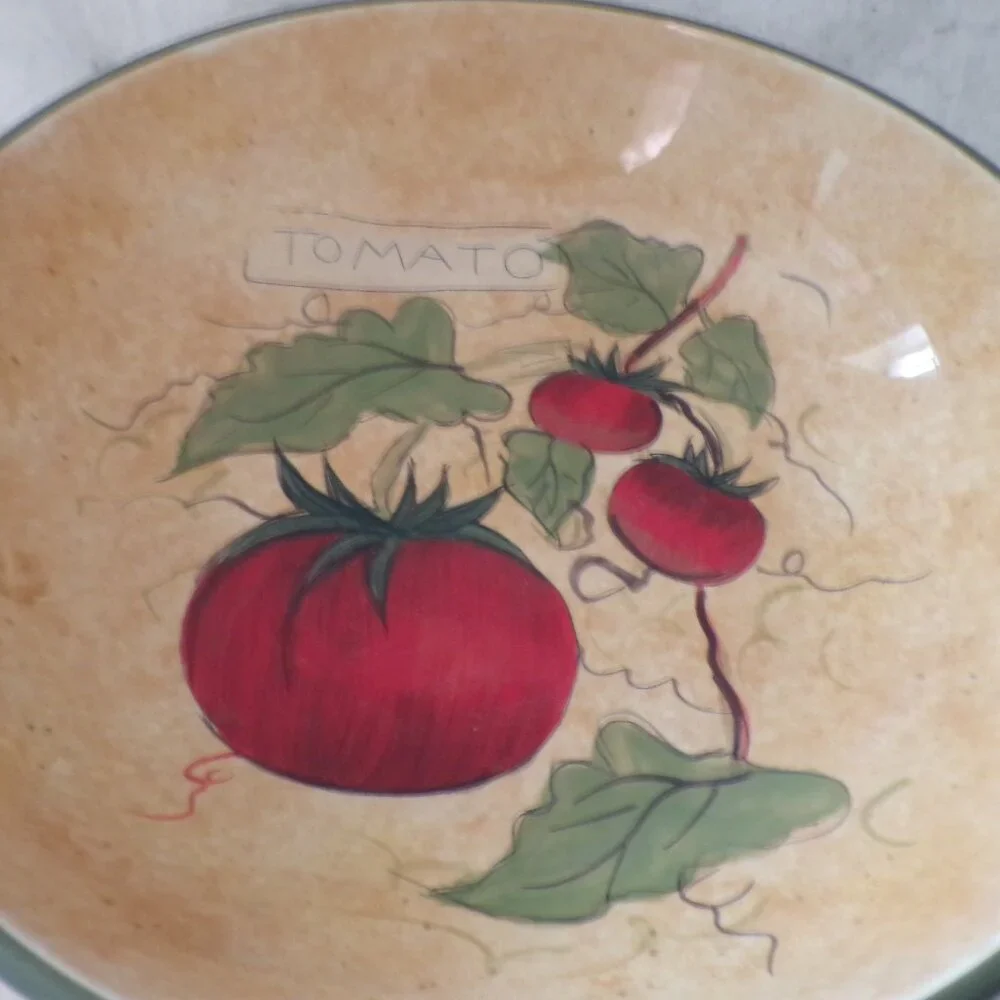 XLarge Siena Certified International Susan Winget Serving Bowl 13